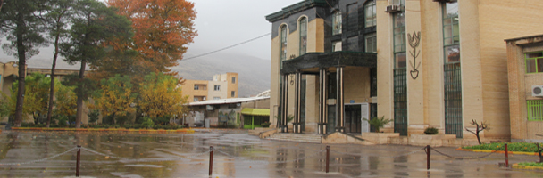 معرفی